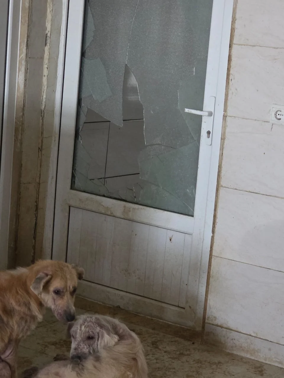 WhatsApp Image 2026-02-12 at 10.08.28 AM.jpeg