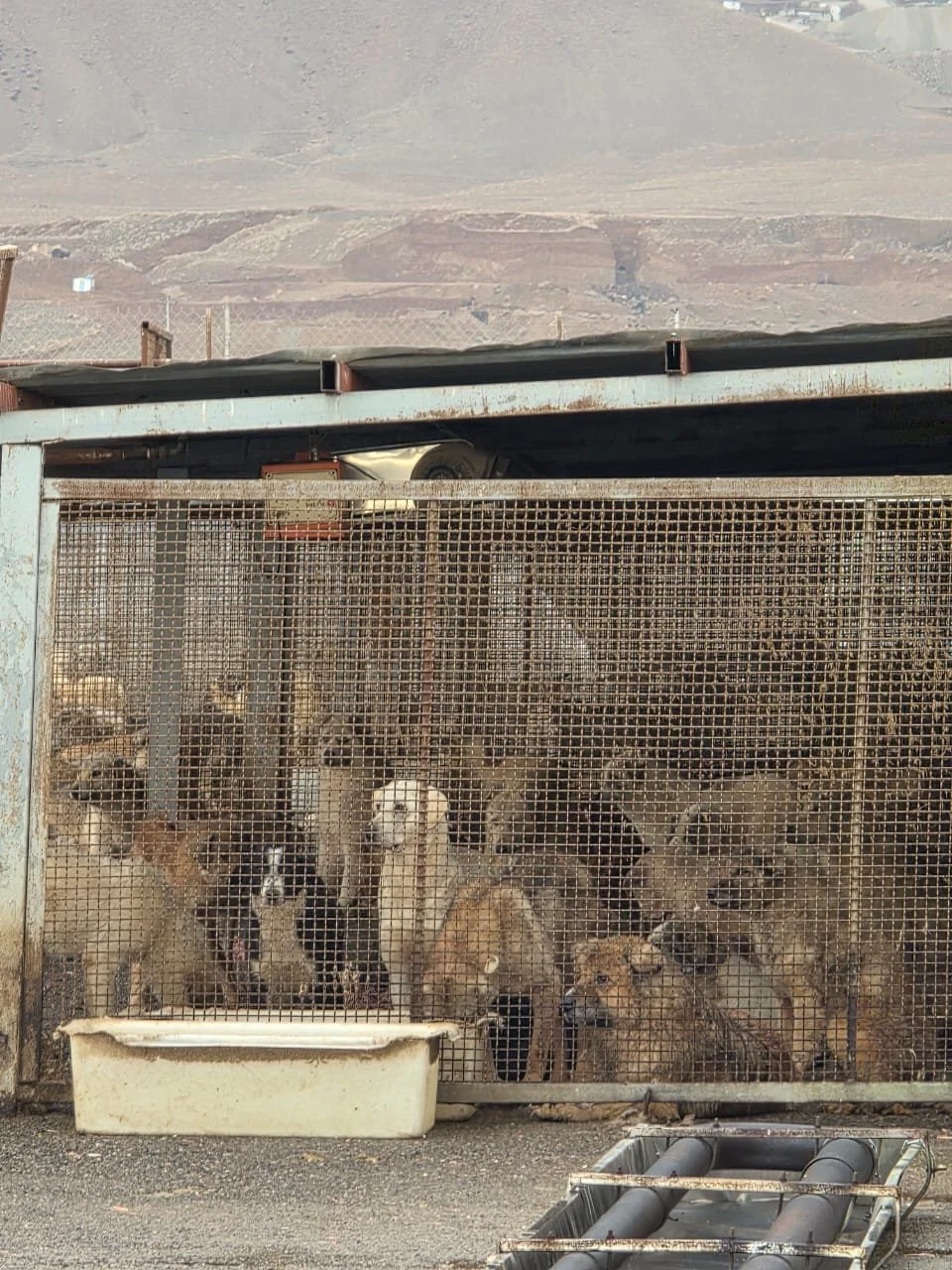 WhatsApp Image 2026-02-12 at 10.02.56 AM.jpeg