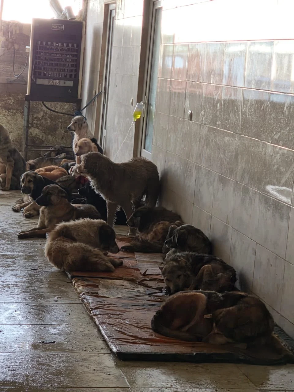 WhatsApp Image 2026-02-12 at 10.09.34 AM.jpeg