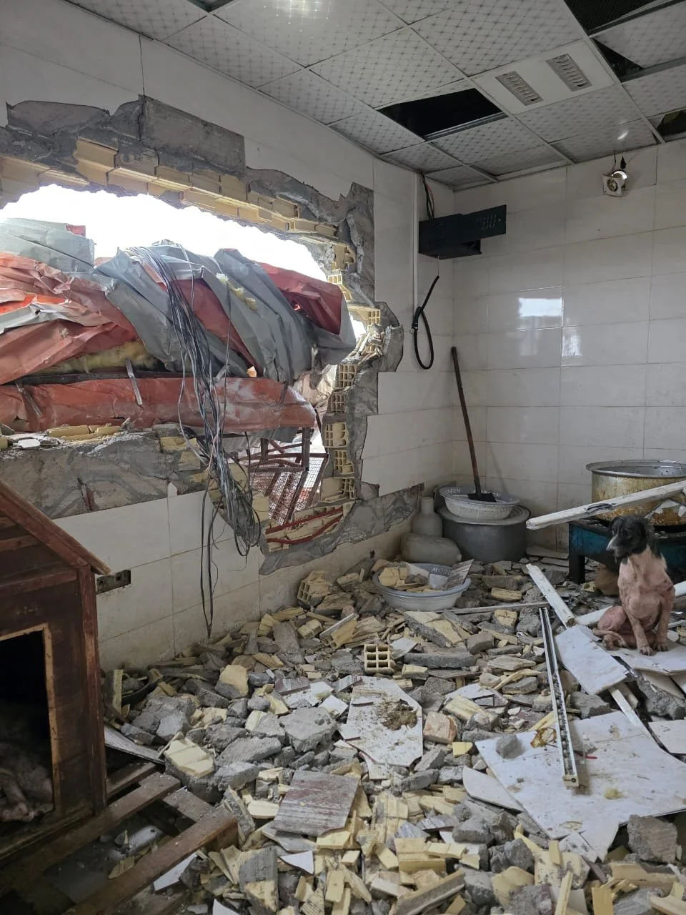 Emergency: Tornado Damage at Pardis Shelter