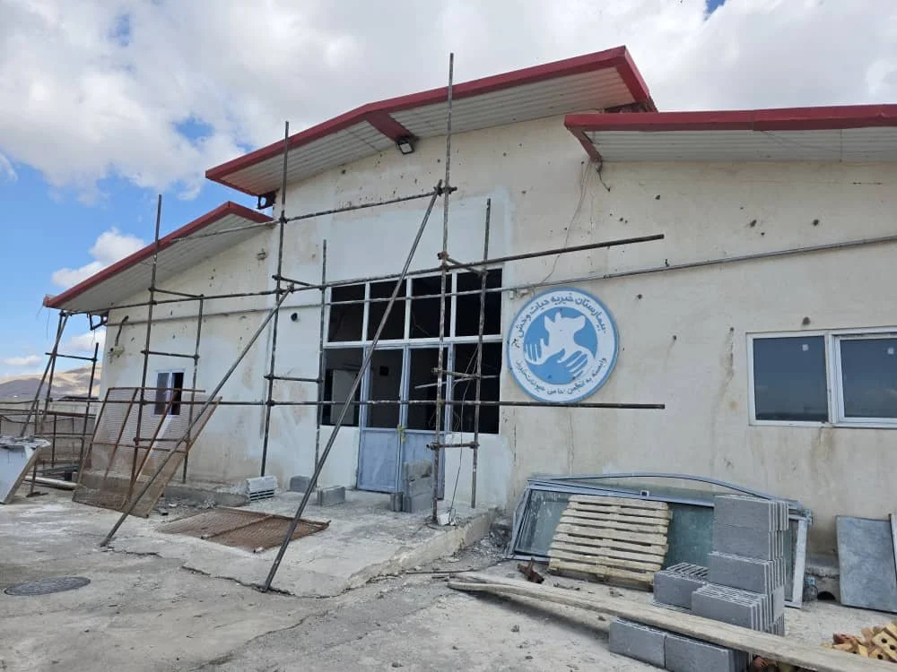 WhatsApp Image 2026-03-17 at 8.07.12 AM.jpeg