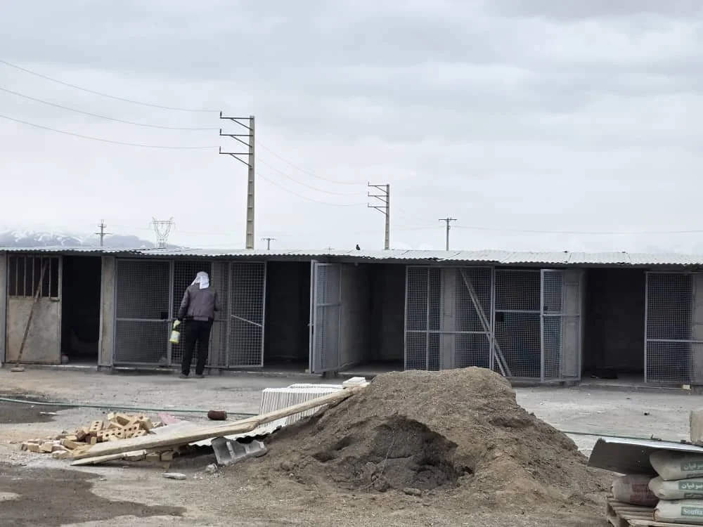 WhatsApp Image 2026-03-17 at 8.10.19 AM.jpeg