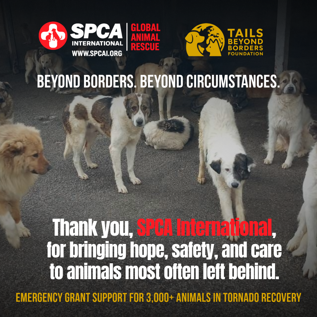 We received an emergency grant from SPCA International