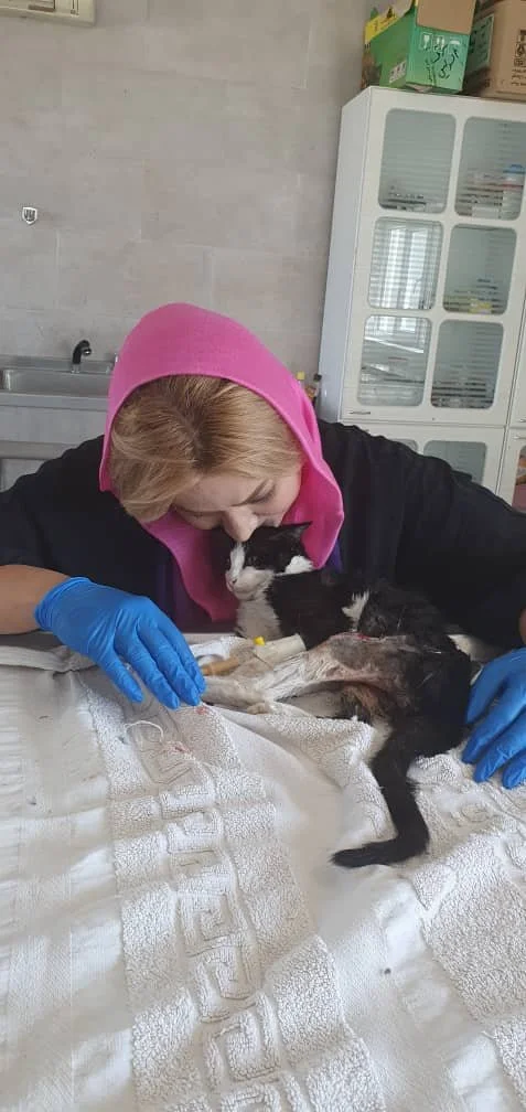 WhatsApp Image 2025-09-07 at 04.52.36_4a7956d7.jpg