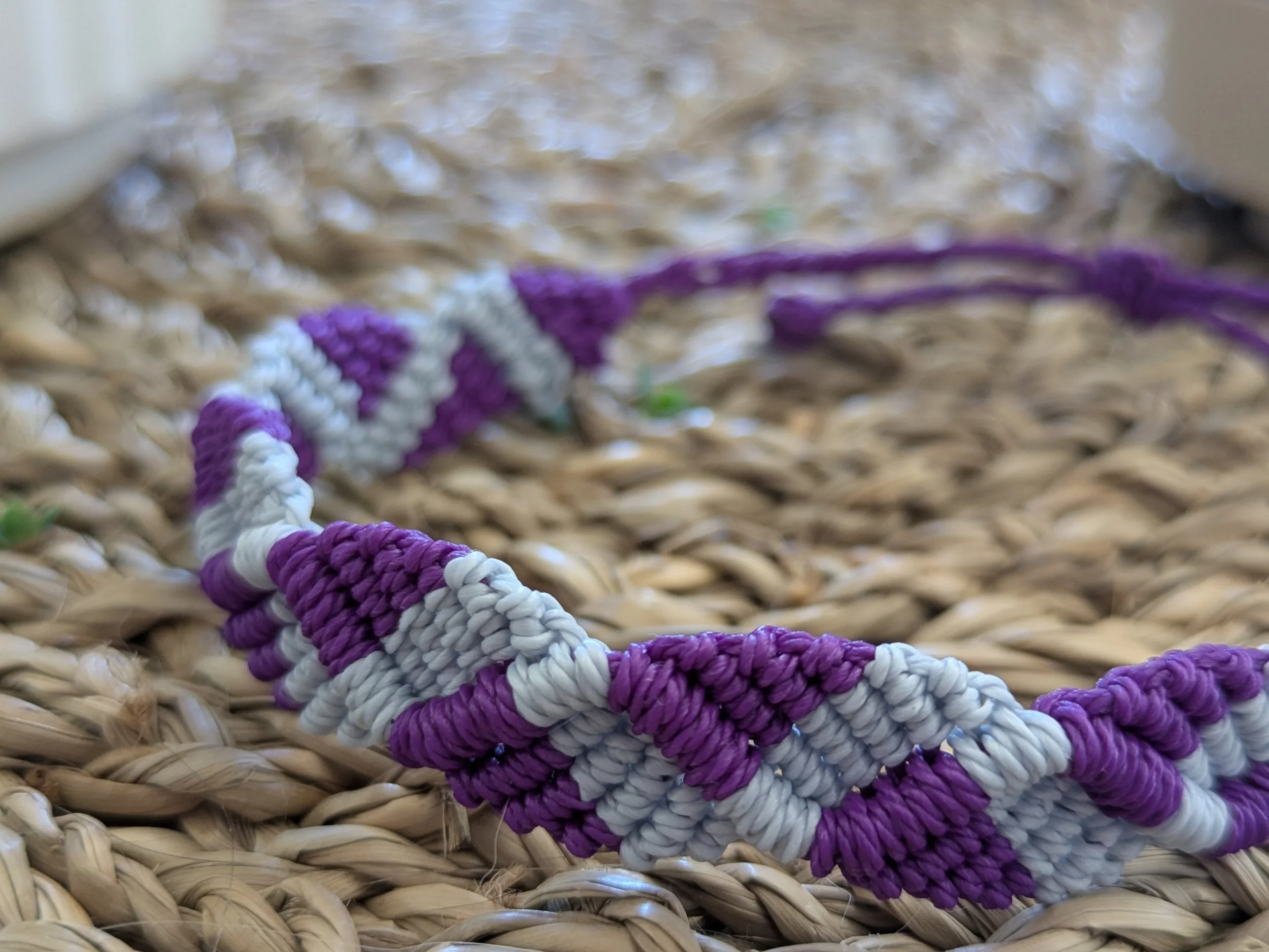 Orchid_Twist (6).jpg