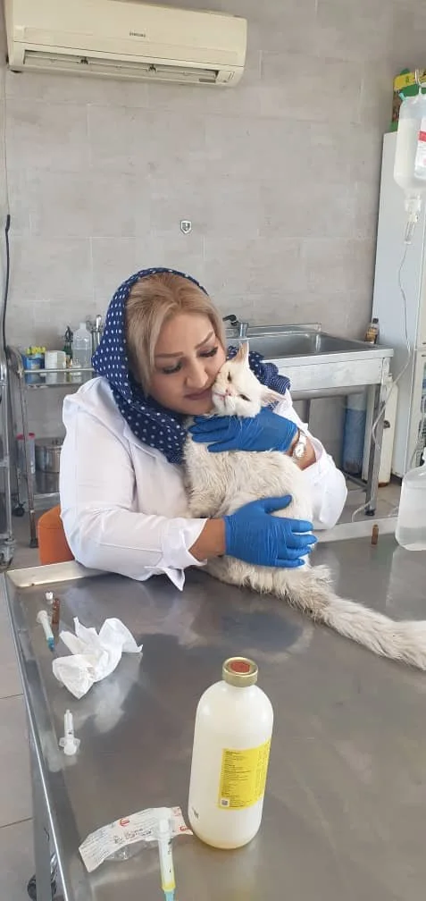 WhatsApp Image 2025-09-07 at 04.54.39_6344ac83.jpg