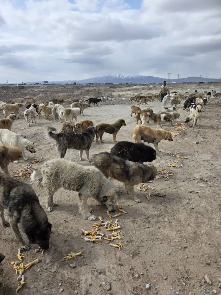 WhatsApp Image 2026-03-14 at 1.23.56 PM.jpeg