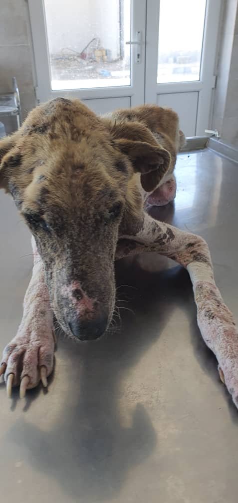 WhatsApp Image 2025-09-07 at 04.46.07_3a4b3901.jpg