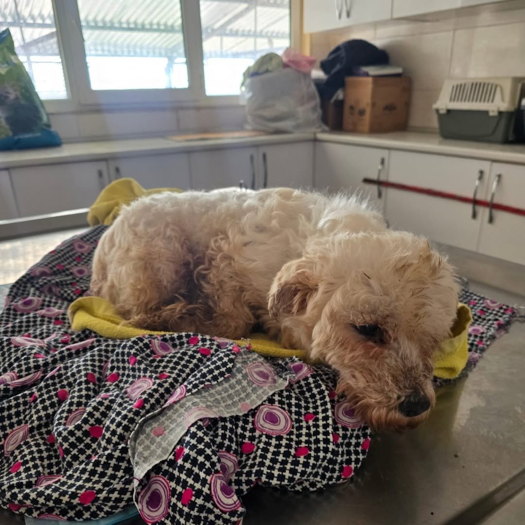 SaveGram.App_474713845_17991174854766031_5119028748427578632_n (1).jpg