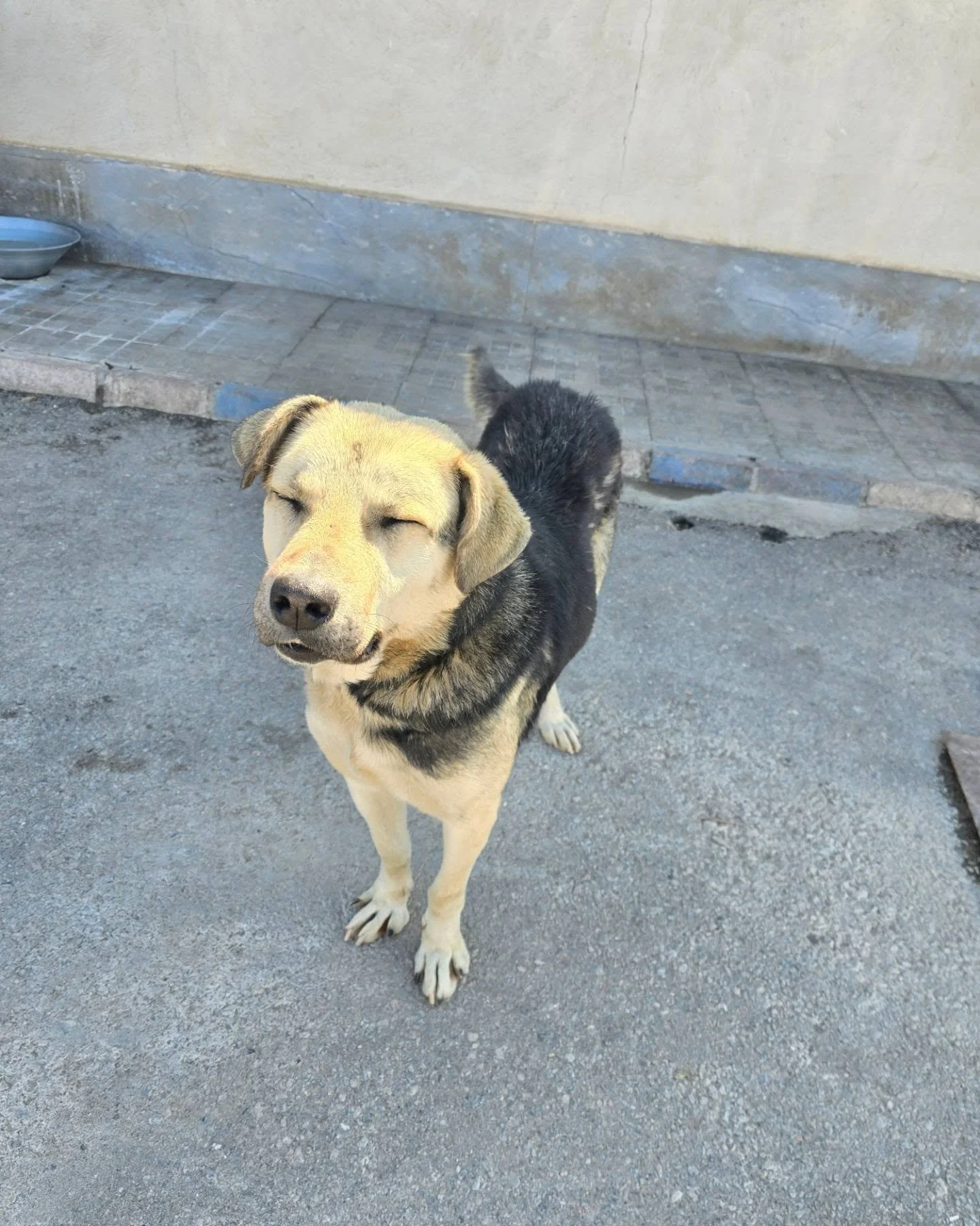 SaveGram.App_436409366_865430938677047_1614510959743902983_n (1).jpg