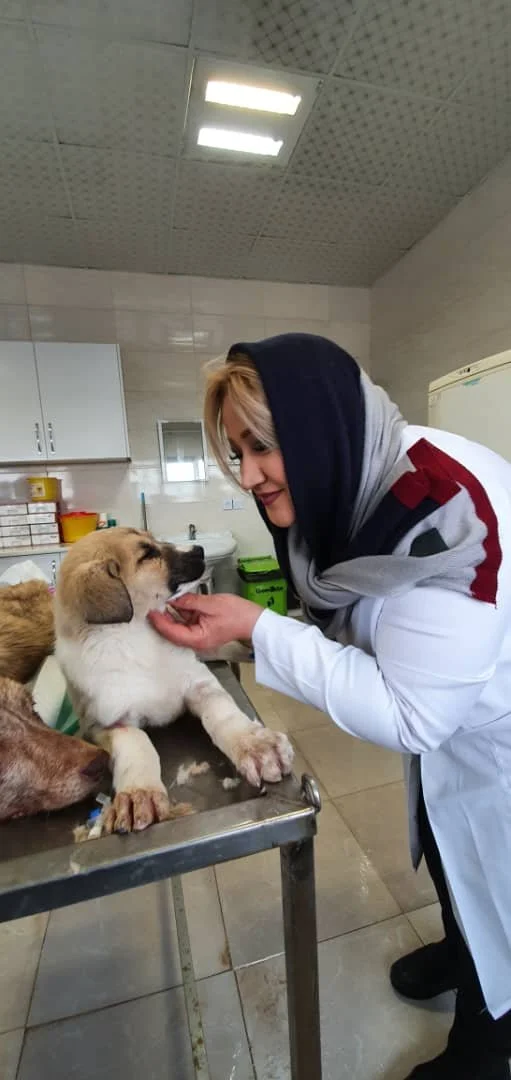 WhatsApp Image 2025-09-07 at 04.54.37_5243e2d3.jpg