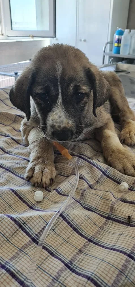 WhatsApp Image 2025-09-07 at 04.44.08_d4d833e9.jpg