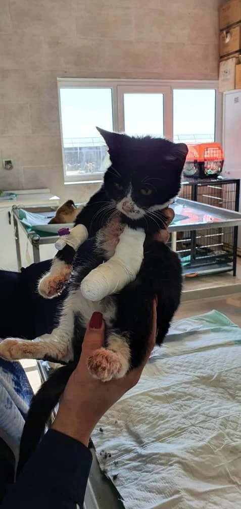 WhatsApp Image 2025-09-07 at 04.54.39_3f3606f4.jpg