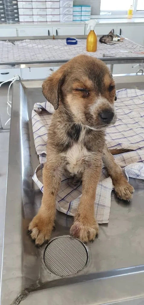 WhatsApp Image 2025-09-07 at 04.40.54_99aad14d.jpg