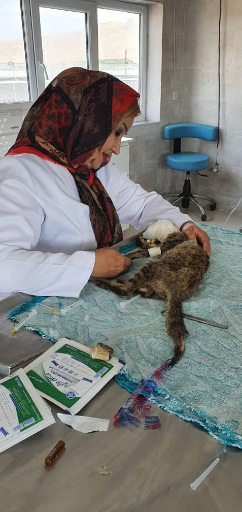 WhatsApp Image 2025-09-07 at 04.44.12_b869544c.jpg