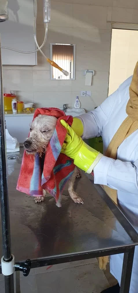 WhatsApp Image 2025-09-07 at 04.54.34_98a3f53c.jpg