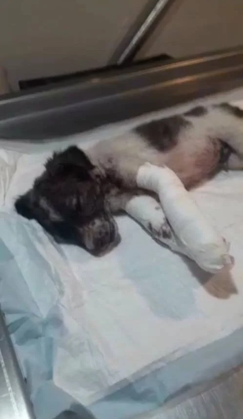 WhatsApp Image 2025-09-07 at 05.30.28_4e68eb91.jpg