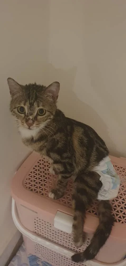 WhatsApp Image 2025-09-07 at 04.54.33_6386ca25.jpg