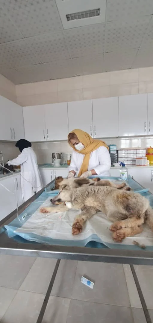 WhatsApp Image 2025-09-07 at 04.54.36_c84c057b.jpg