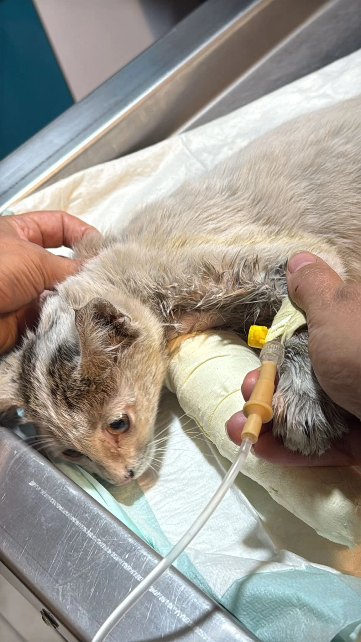 WhatsApp Image 2025-09-07 at 05.09.27_5881332e.jpg