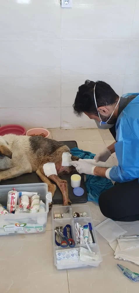 WhatsApp Image 2025-09-07 at 04.54.32_ba3606bb.jpg