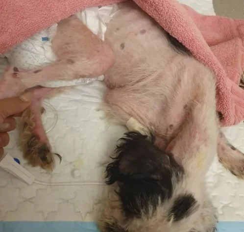 WhatsApp Image 2025-09-07 at 05.23.03_cd077e59.jpg