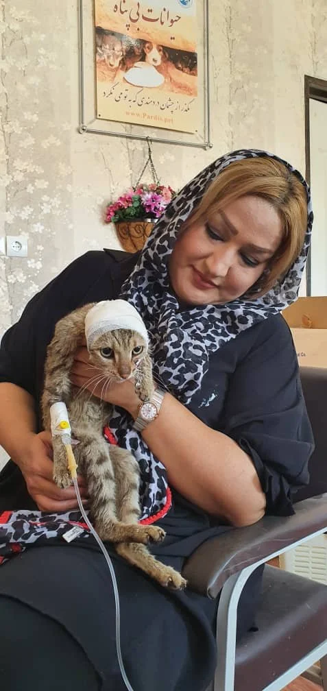 WhatsApp Image 2025-09-07 at 04.44.11_ce09a5ca.jpg