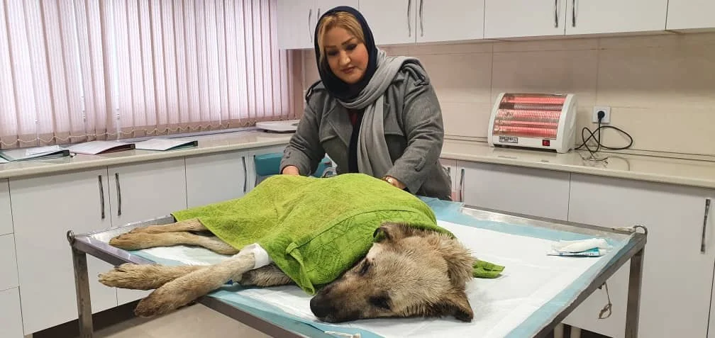 WhatsApp Image 2025-09-07 at 04.54.34_3e4a9881.jpg