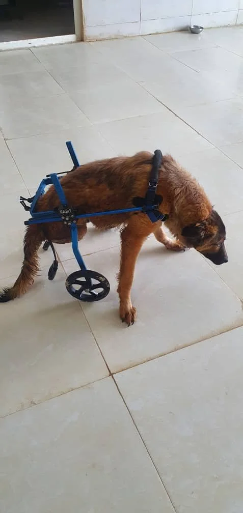 WhatsApp Image 2025-09-07 at 04.52.36_226ad96f.jpg