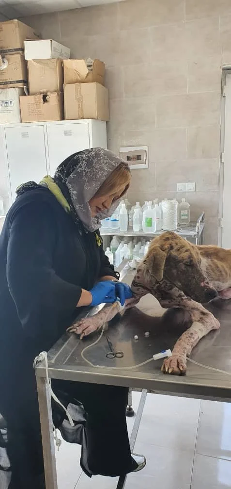 WhatsApp Image 2025-09-07 at 04.46.07_926e4e2b.jpg