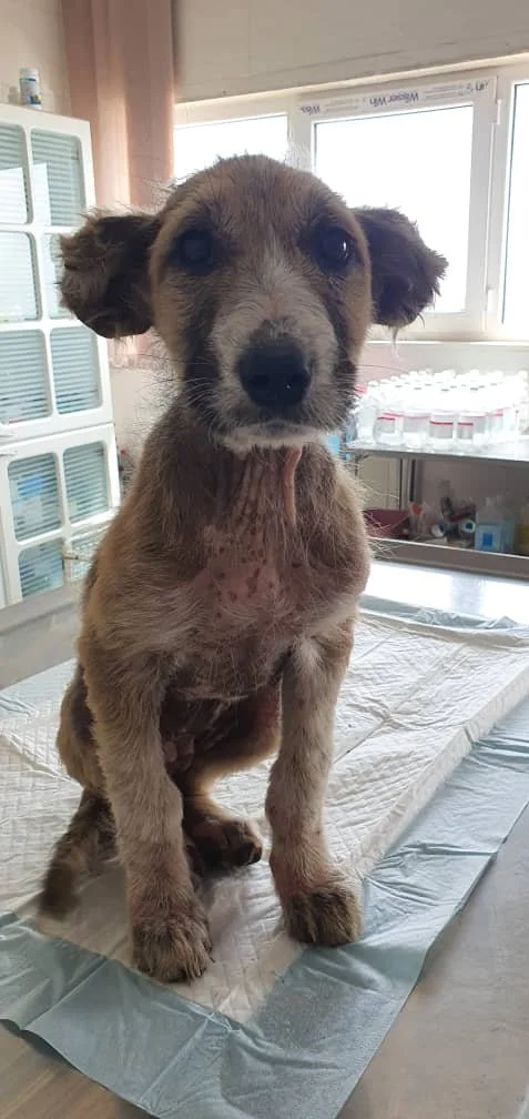 WhatsApp Image 2025-09-07 at 04.54.30_991e8e88.jpg