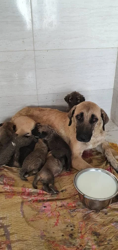 WhatsApp Image 2025-09-07 at 04.40.10_2652e048.jpg