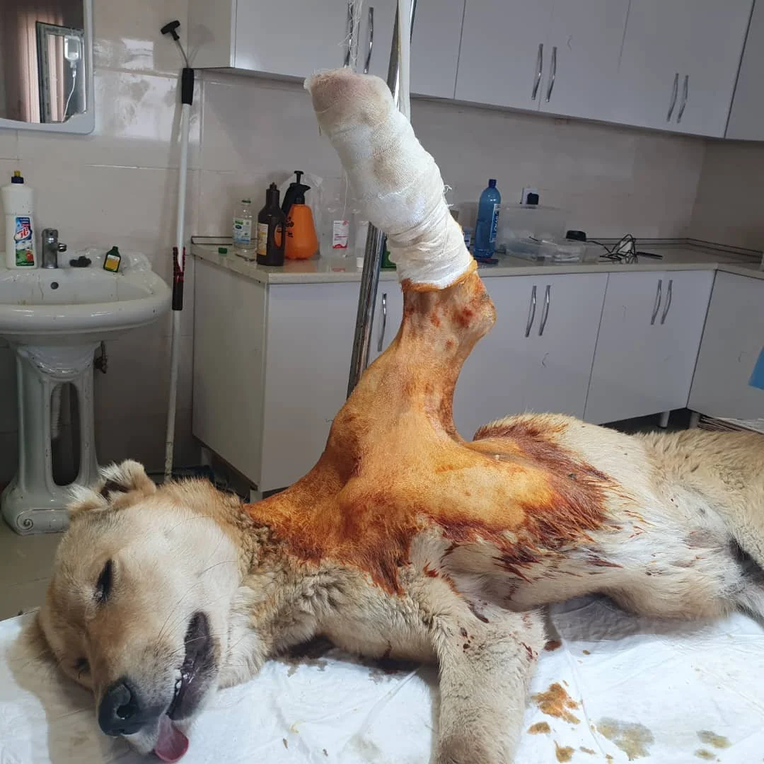 WhatsApp Image 2025-09-07 at 04.54.31_25709896.jpg