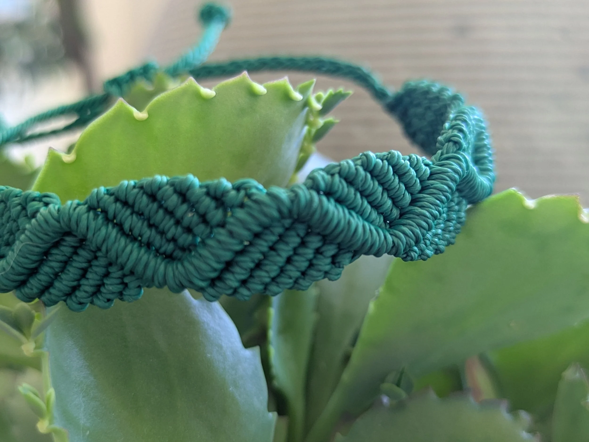 Emerald_Green (5).jpg