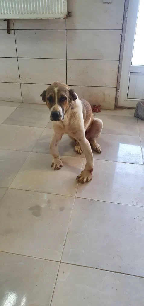 WhatsApp Image 2025-09-07 at 04.52.39_7818f2a8.jpg