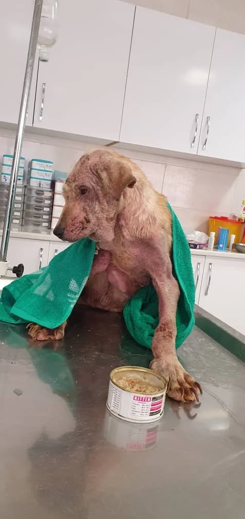 WhatsApp Image 2025-09-07 at 04.54.40_aef24c24.jpg