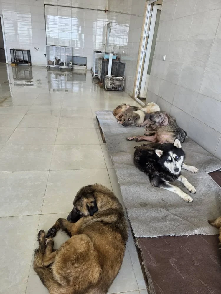 WhatsApp Image 2025-09-07 at 04.58.36_b72f512c.jpg