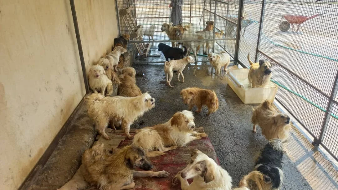 WhatsApp Image 2025-09-07 at 05.30.29_29b1c766.jpg