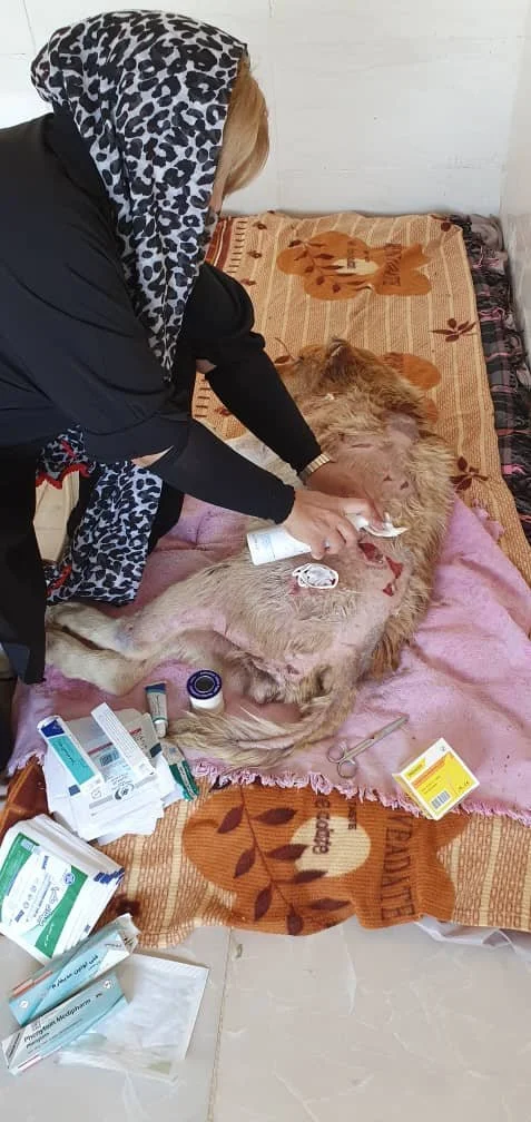 WhatsApp Image 2025-09-07 at 04.44.10_2d568605.jpg