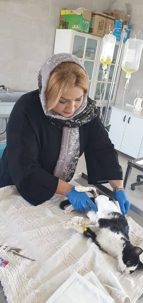 WhatsApp Image 2025-09-07 at 04.54.40_45d044b2.jpg