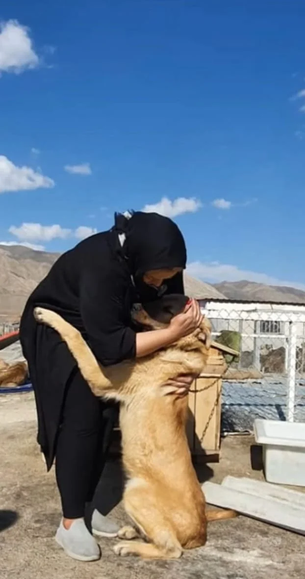 WhatsApp Image 2025-09-07 at 05.21.00_3d6b925e.jpg