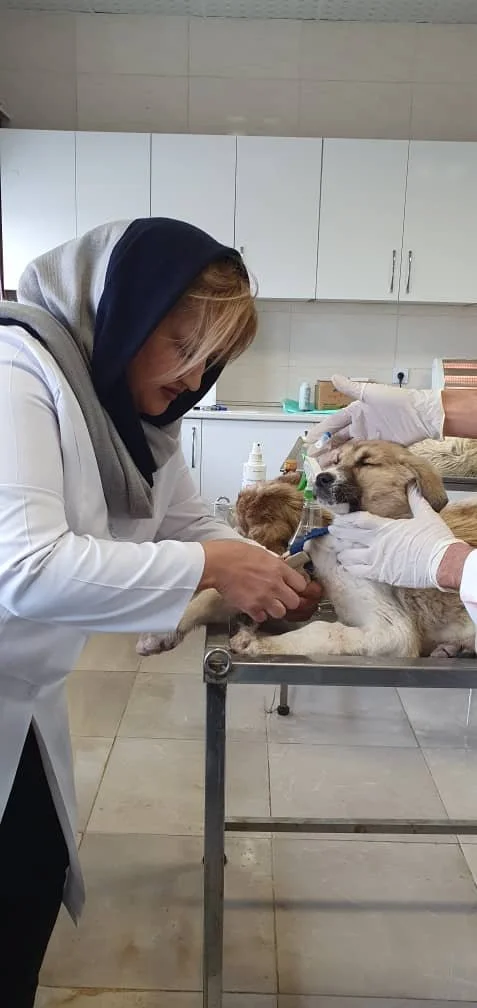 WhatsApp Image 2025-09-07 at 04.54.38_451af236.jpg