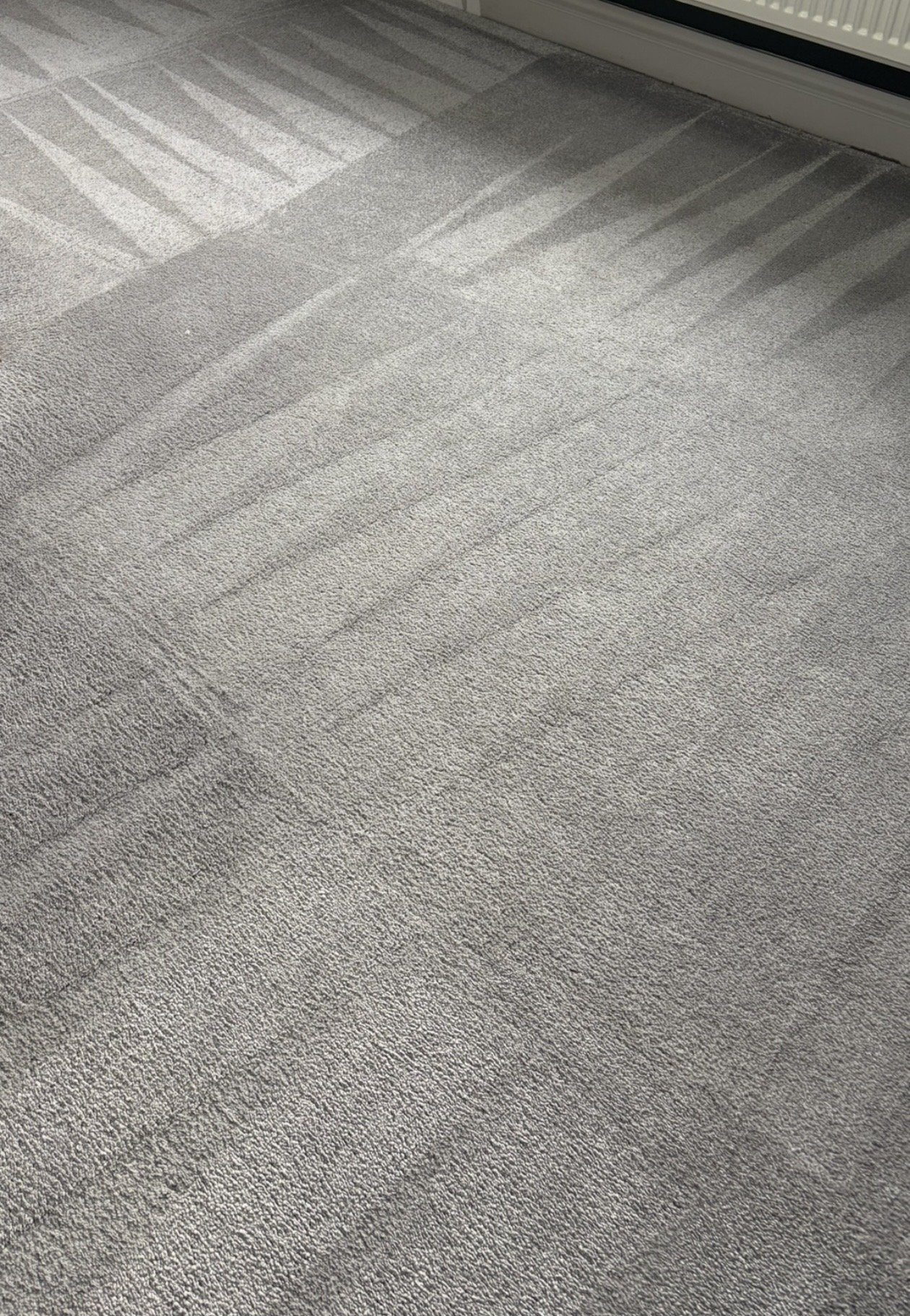 Carpet cleaning Maldon