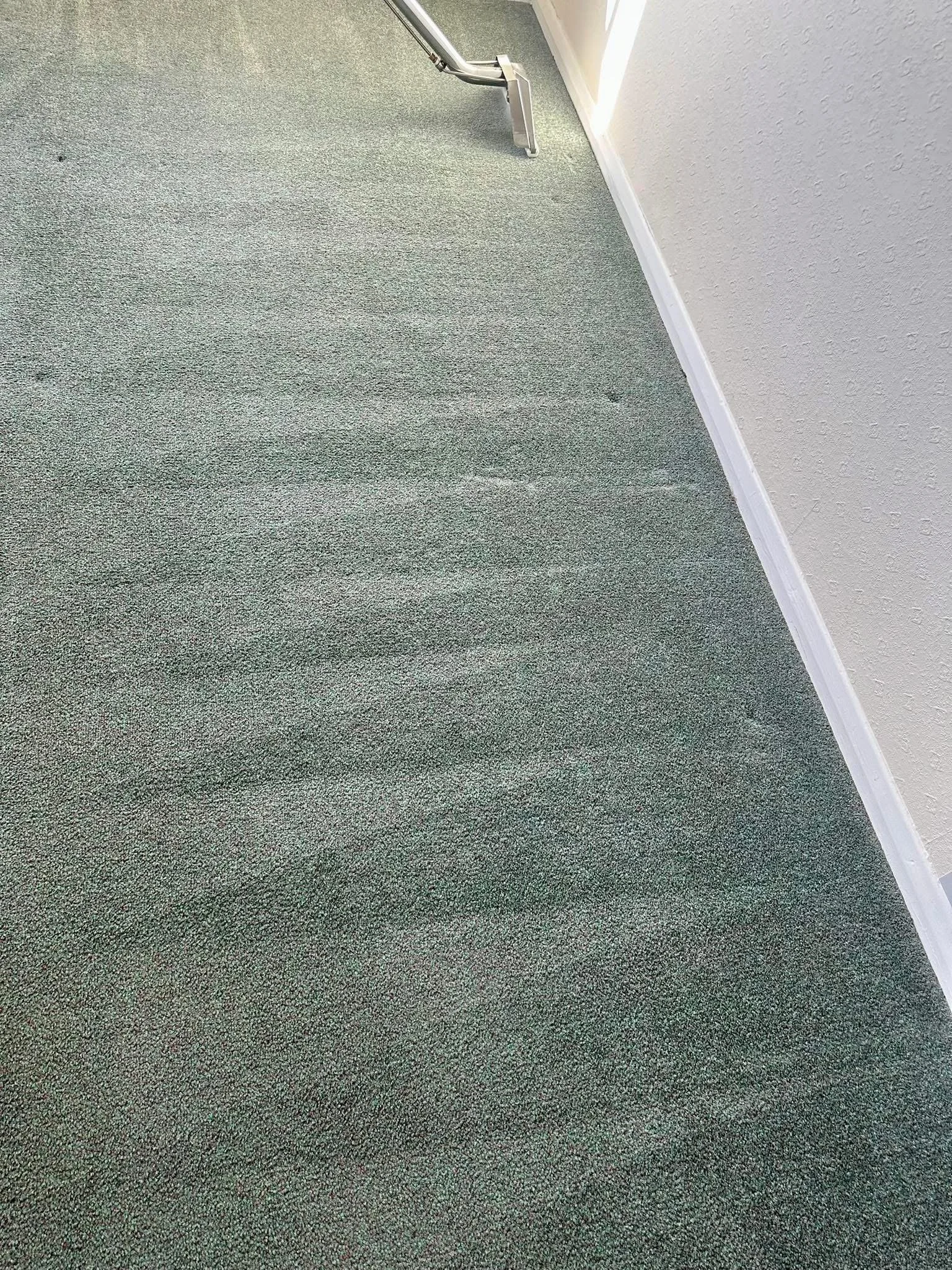 Carpet being cleaned in Maldon, Essex