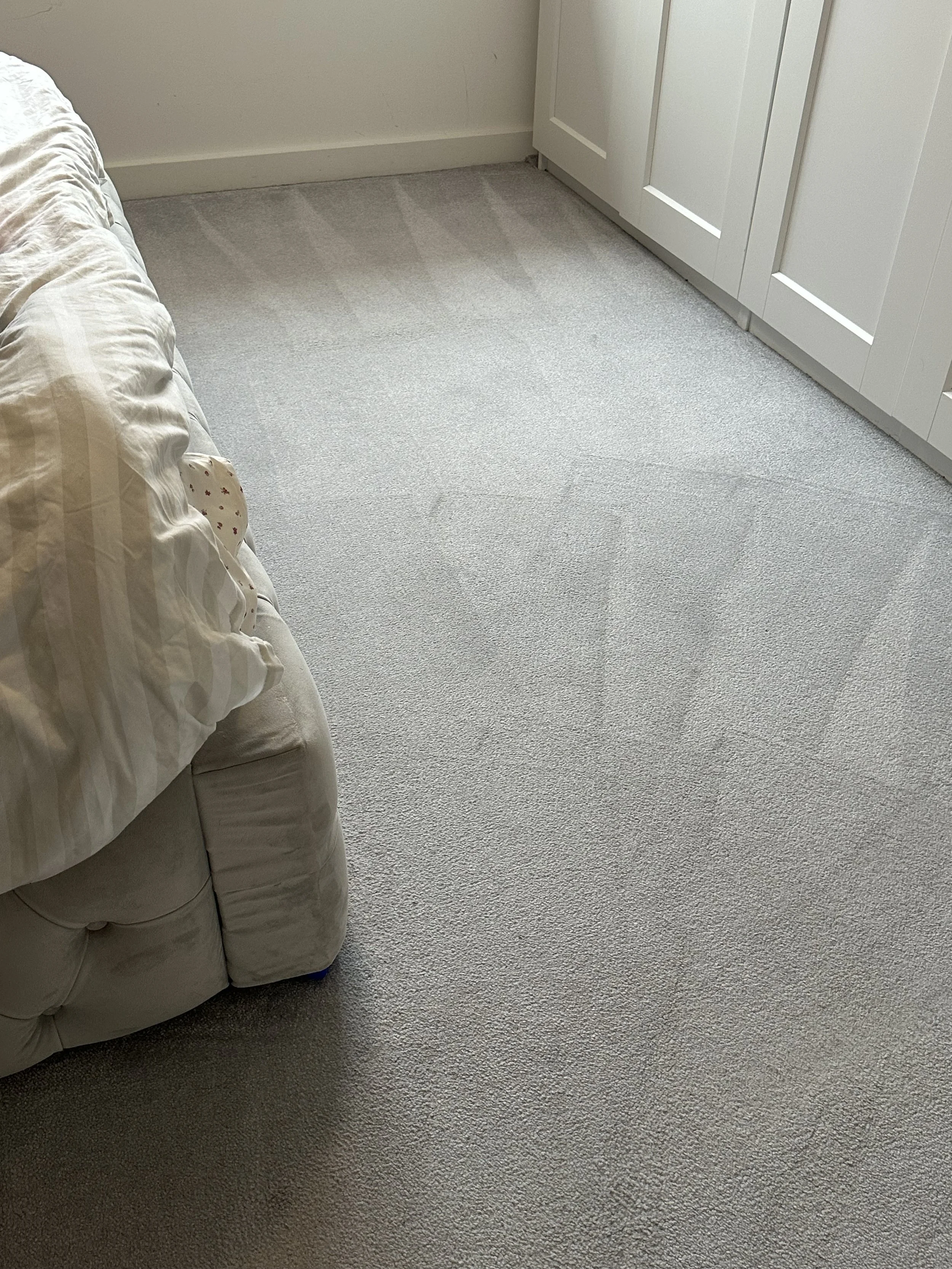 Carpet clean in Chelmsford