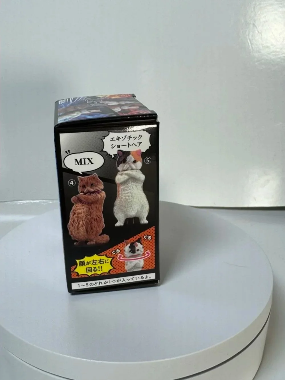 Thun! Cat Stance Front of Box