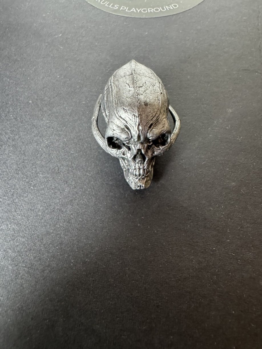 Four Horsemen Cosmic Legions Book 1 Key Silver Coin / key chain & Silver Skull Head Incentive 2023 Head alone