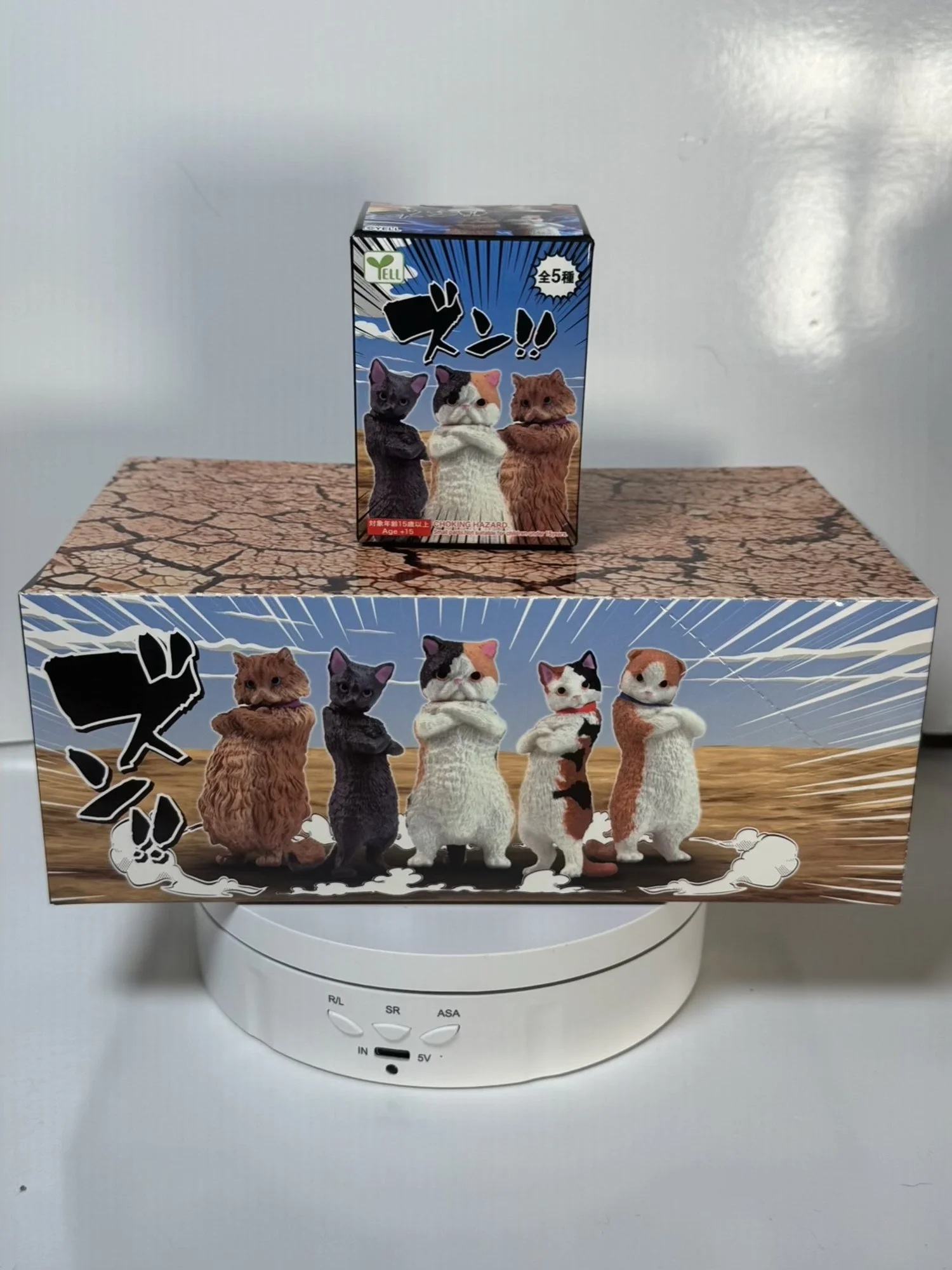 Thun! CAT Stance Box on case