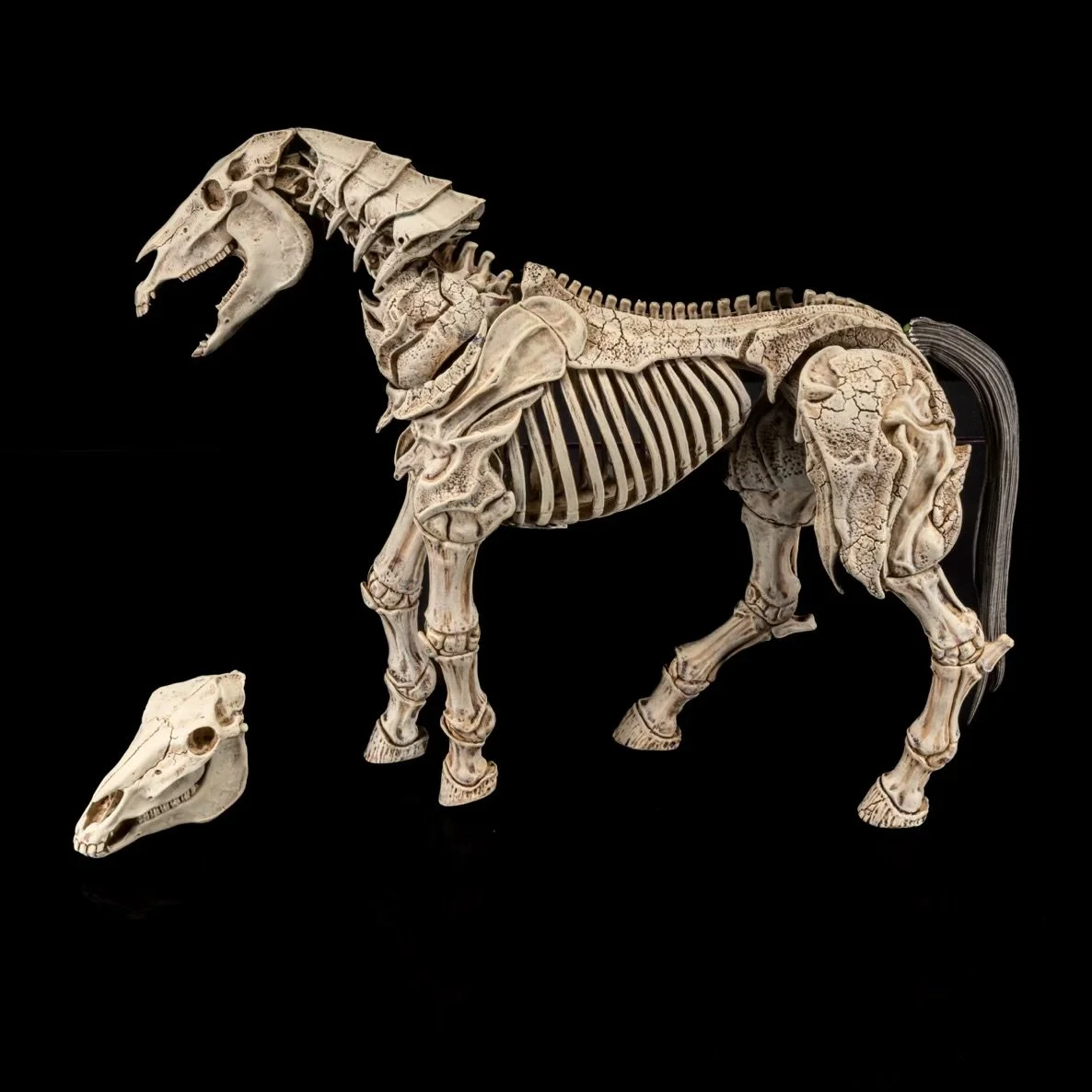Mythic Legions: Reinforcements 3 Skeleton Steed Legion Builder Side right alt head
