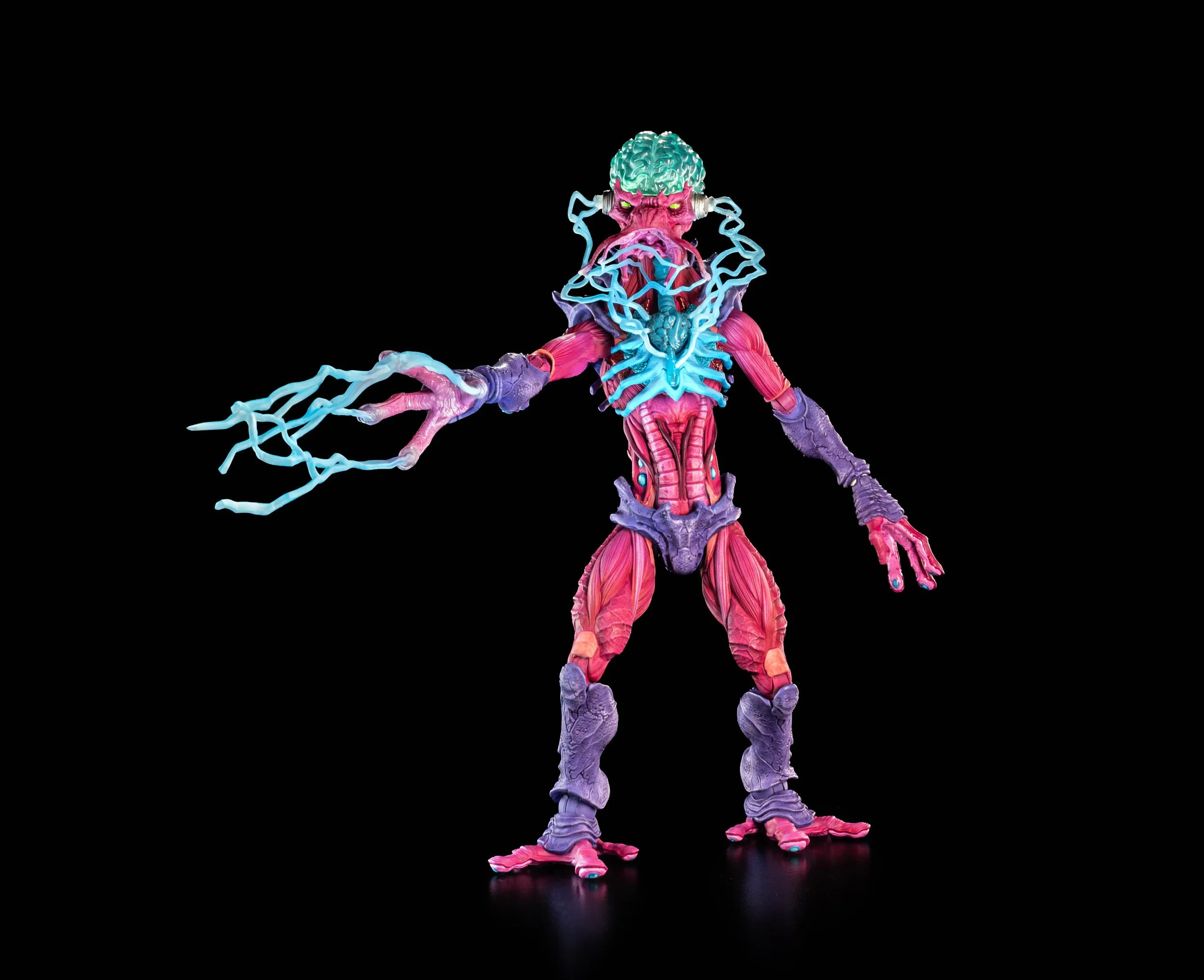 zorrtexx-dynamic-1.jpg